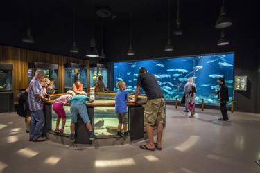 Billede museum fiskerimuseet